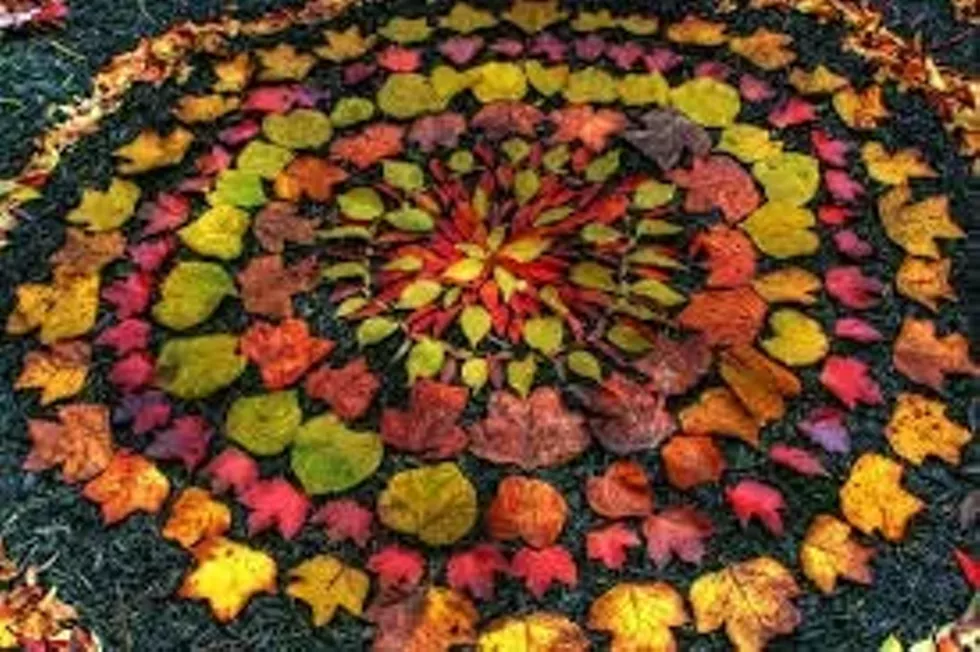76f6b923_restorative_yoga_-_november_002_.webp