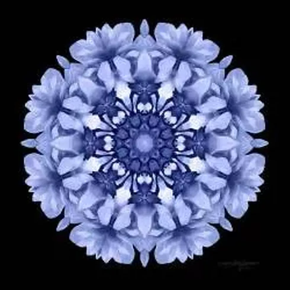 5b130309_winter_mandala.webp