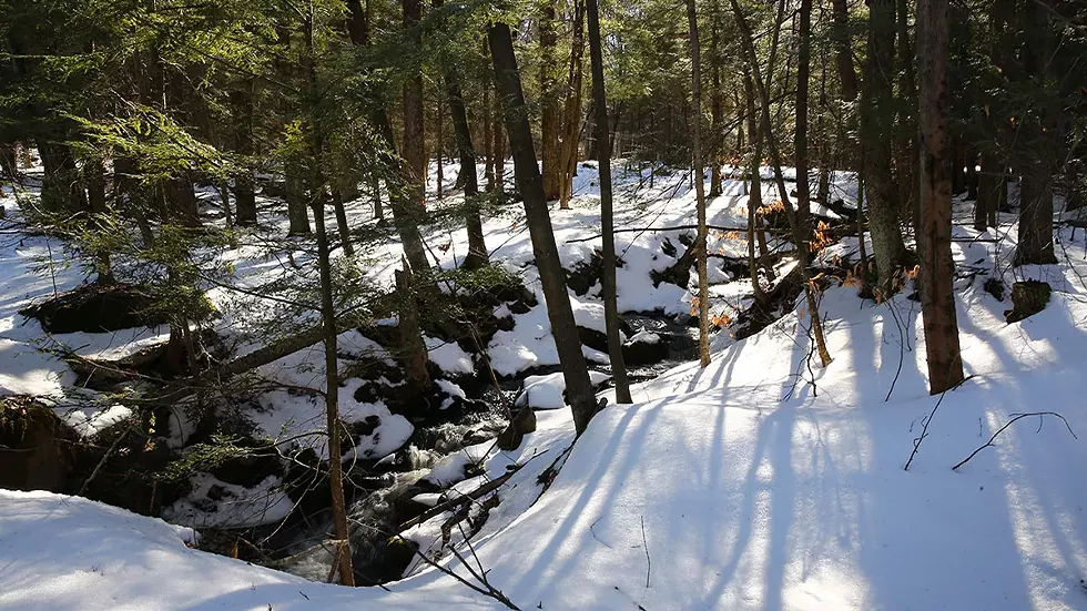 15743684_snowshoe-hike.webp