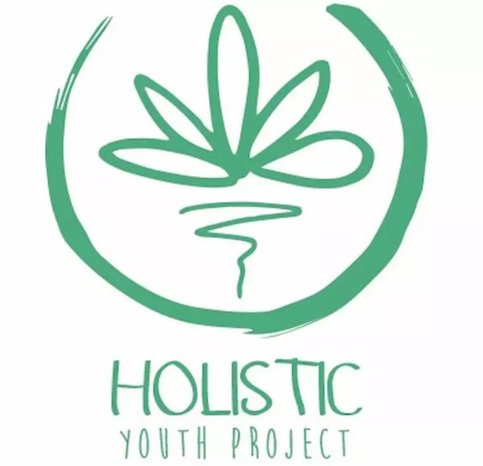 88c720c9_holistic_youth_project.webp
