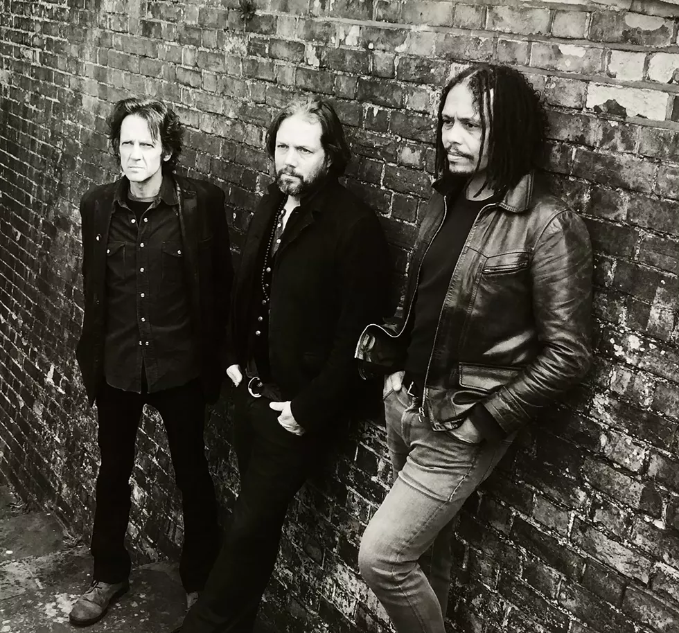 fab3ef04_the-magpie-salute.webp