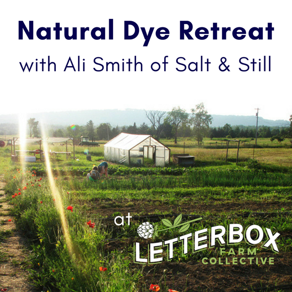 ea8807d0_natural_dye_retreat.png