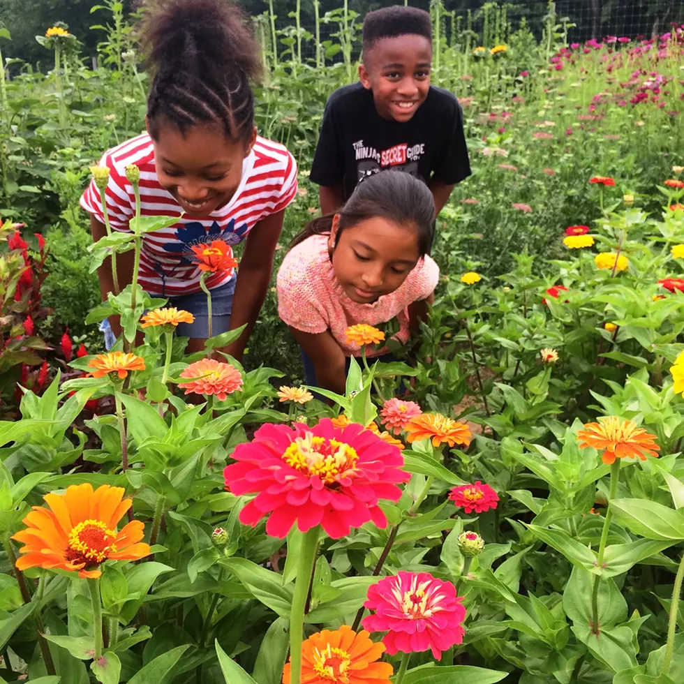 kids_in_flowers.webp