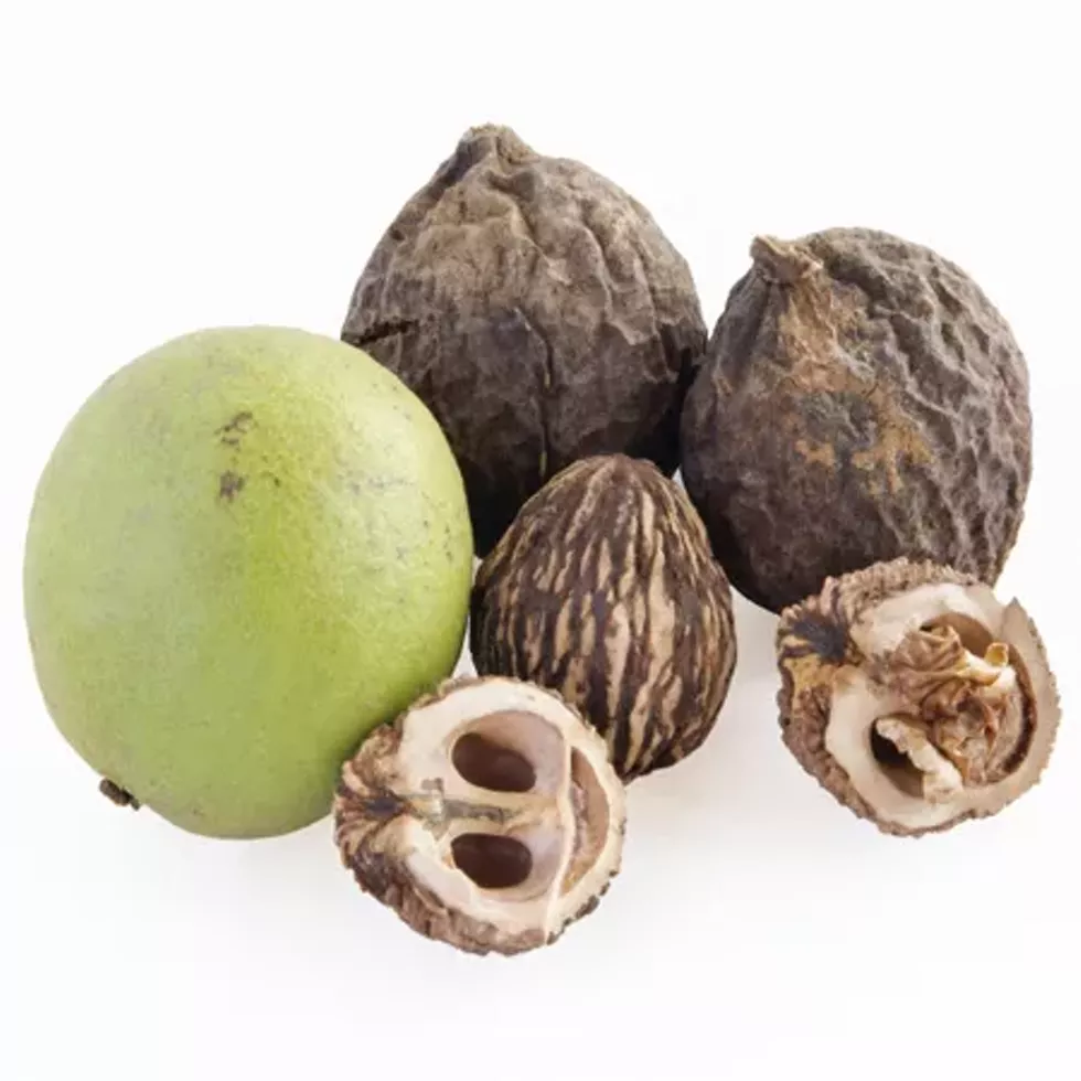 black_walnuts.webp