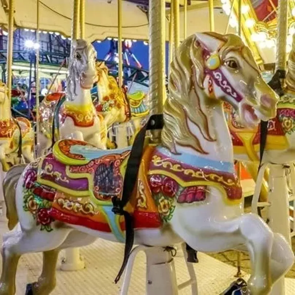 dreamland_-_carousel_new_-_square.webp