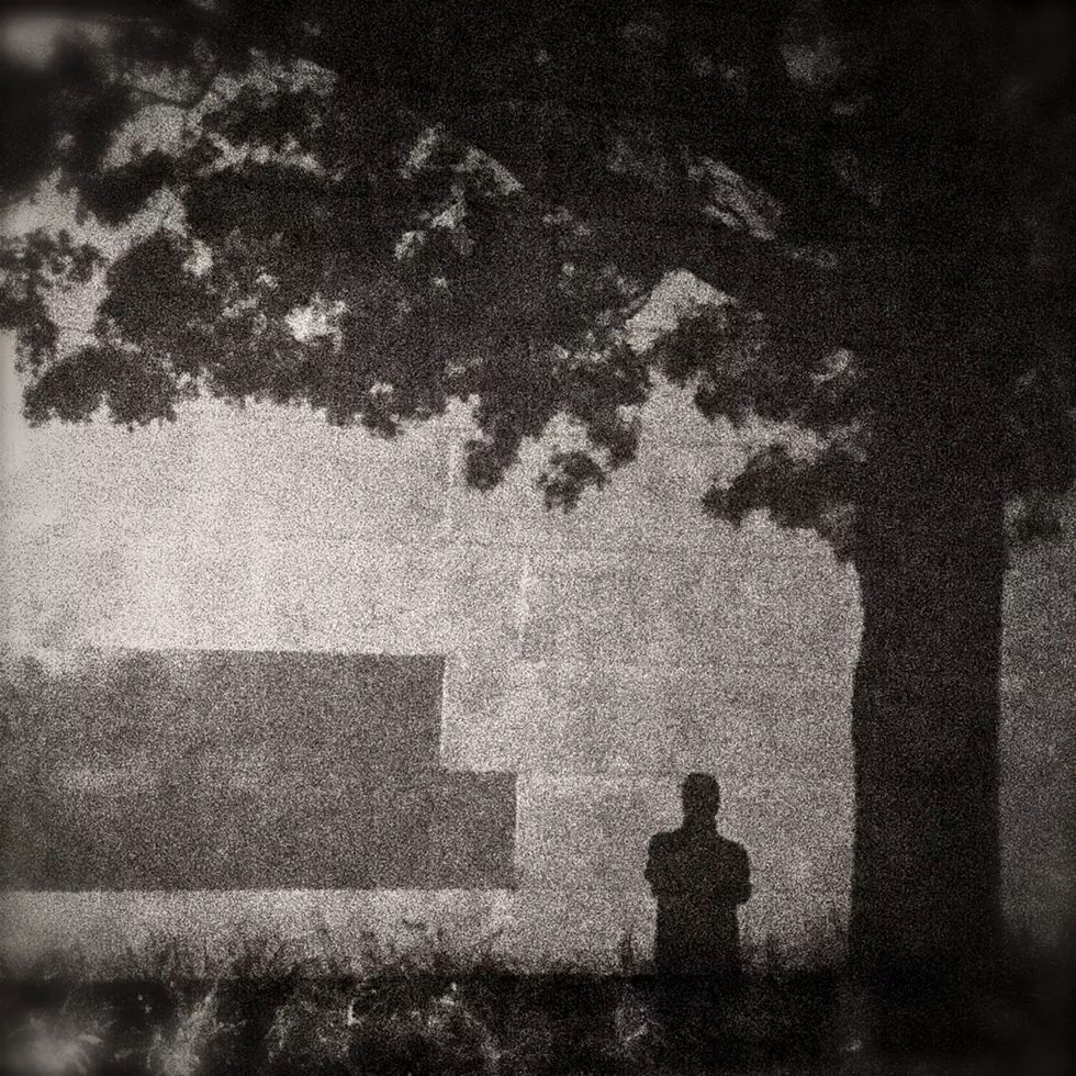 night_shade_by_patrick_cicalo.webp