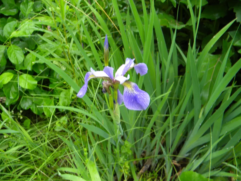 dscn4150.webp