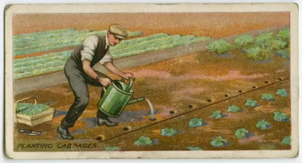 garden_pic_nypl_3.webp