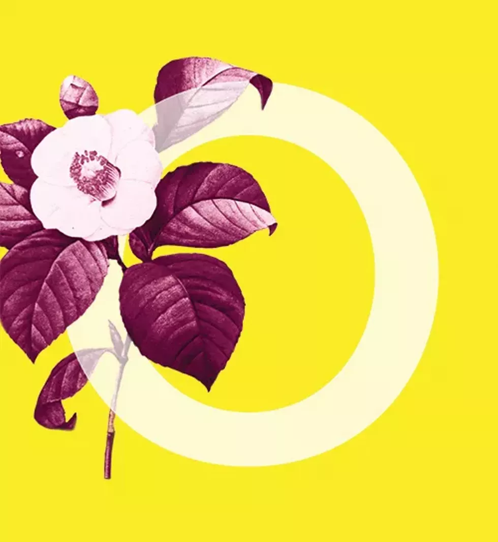 flower.webp