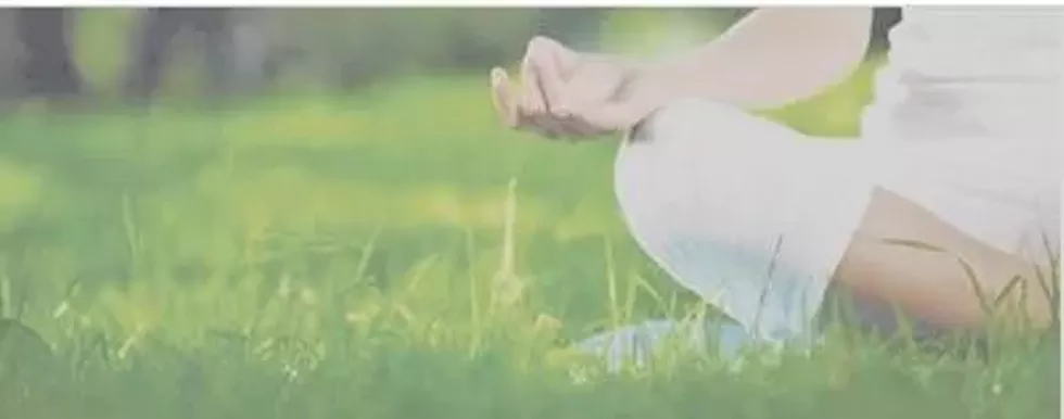 parents_in_the_park.webp