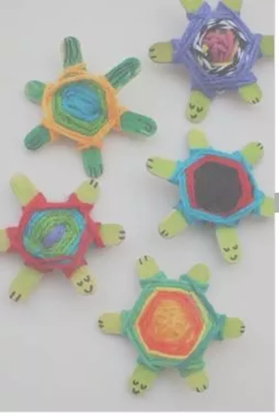 turtles.webp