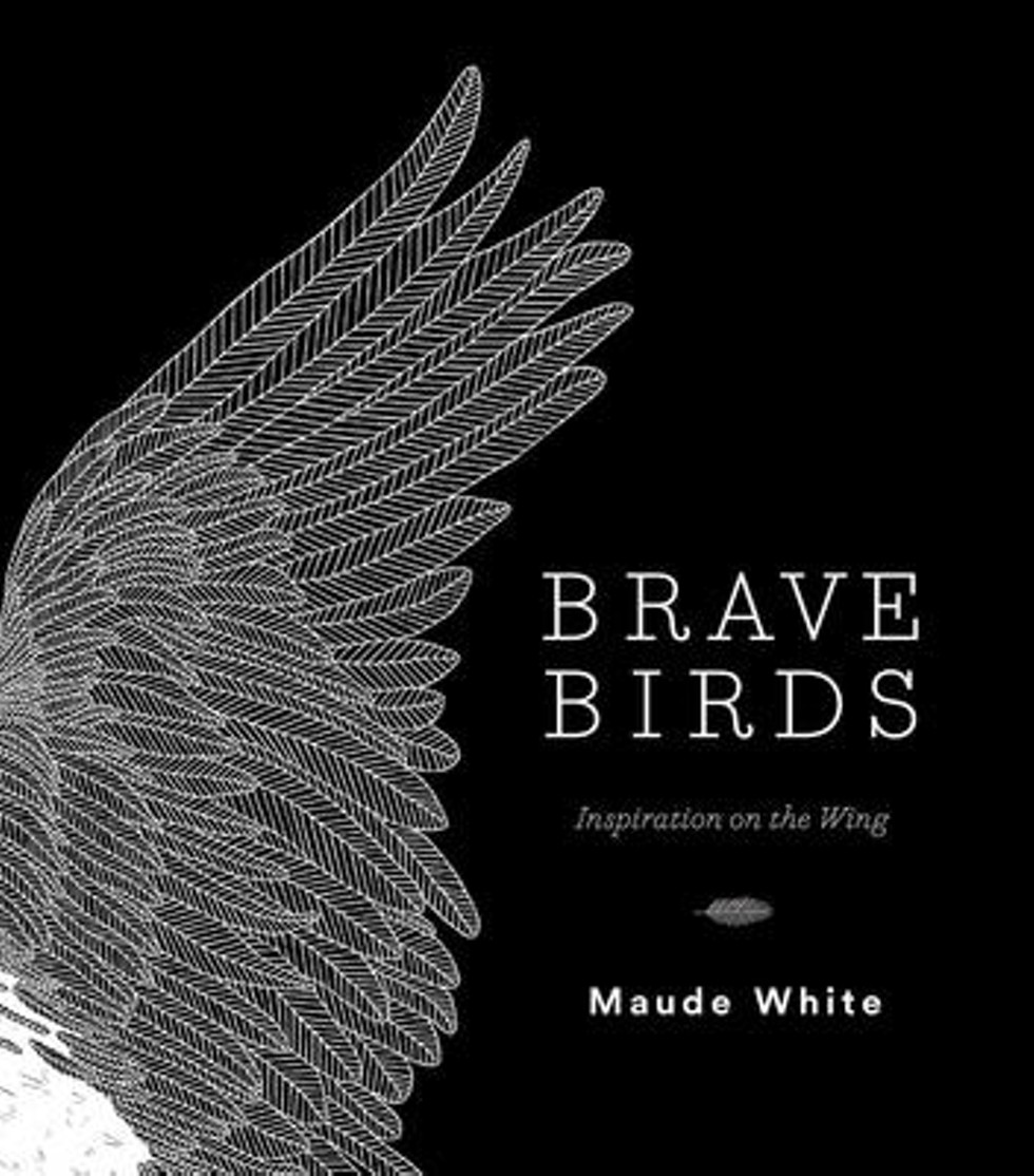 brave_birds_cover_art_2.jpg
