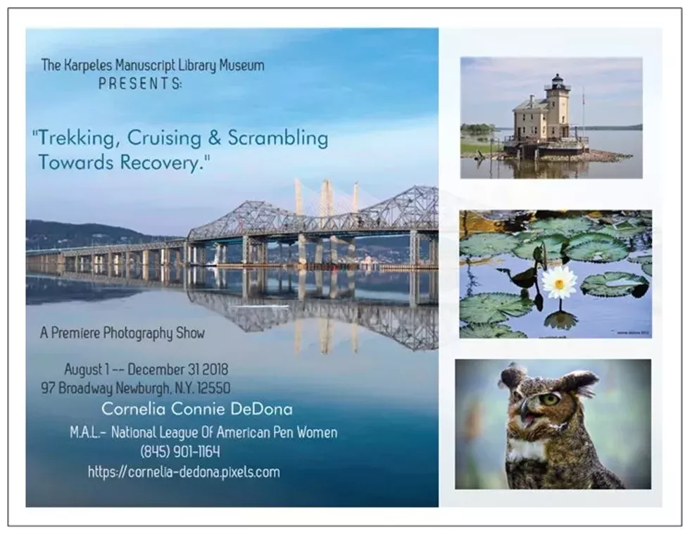trekking_cruising_scrambling_towards_recovery.webp