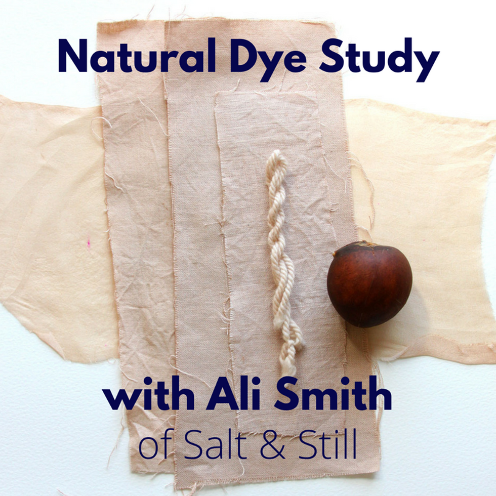 natural_dye_study.png
