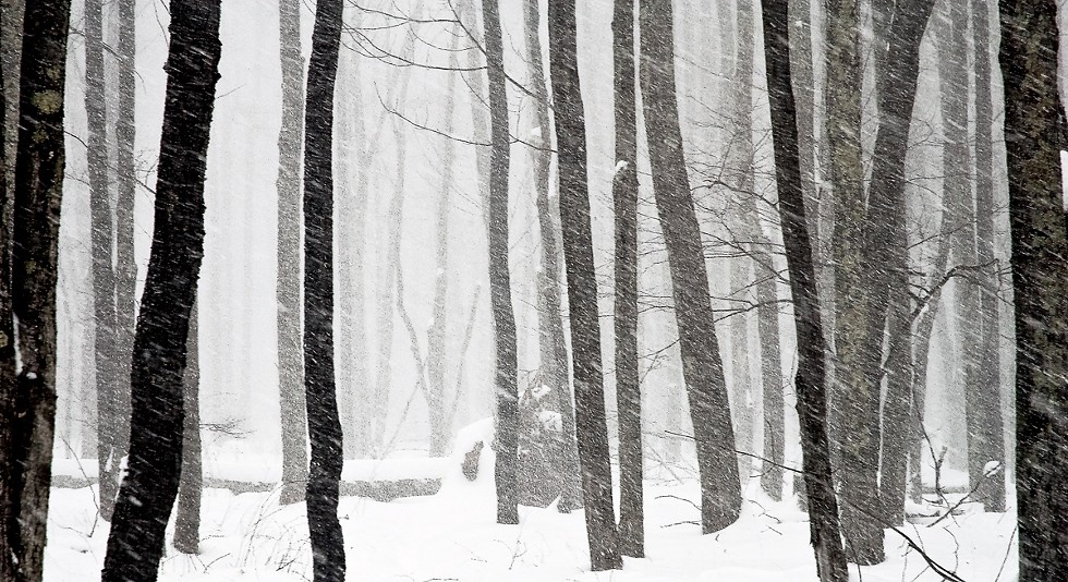 17-snowstorm_by_tom_sardo-photography_16x9.jpg