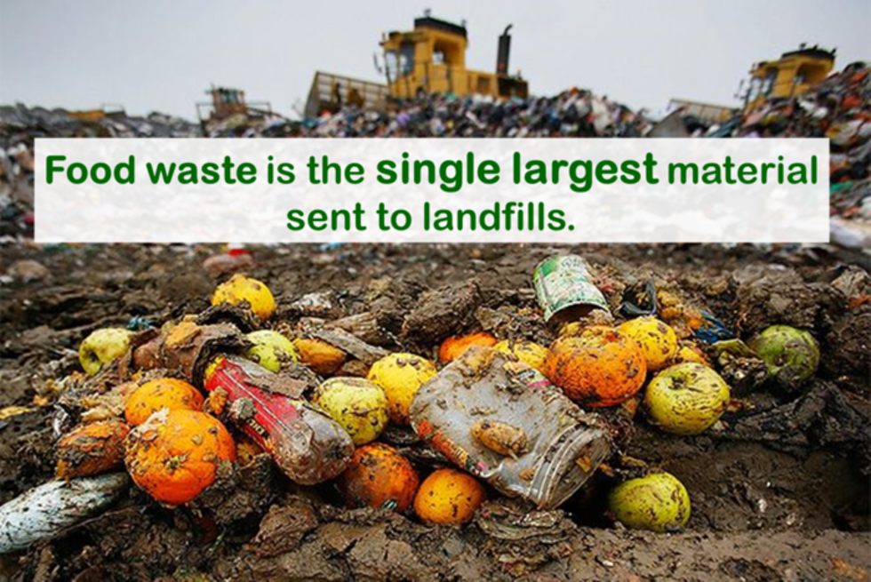 food-waste.png