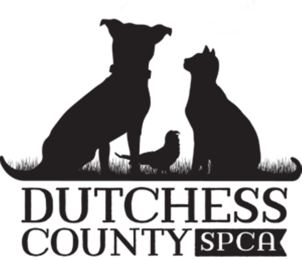 dcspca-logo-black-smaller-300x258.png