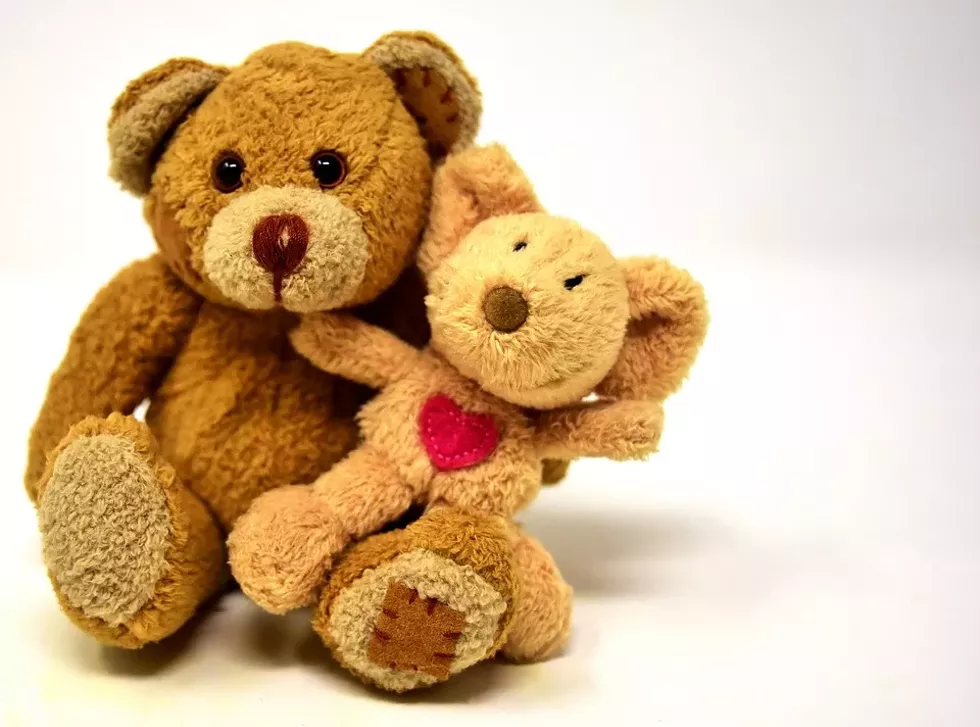 stuffed_animal_pixbay.webp