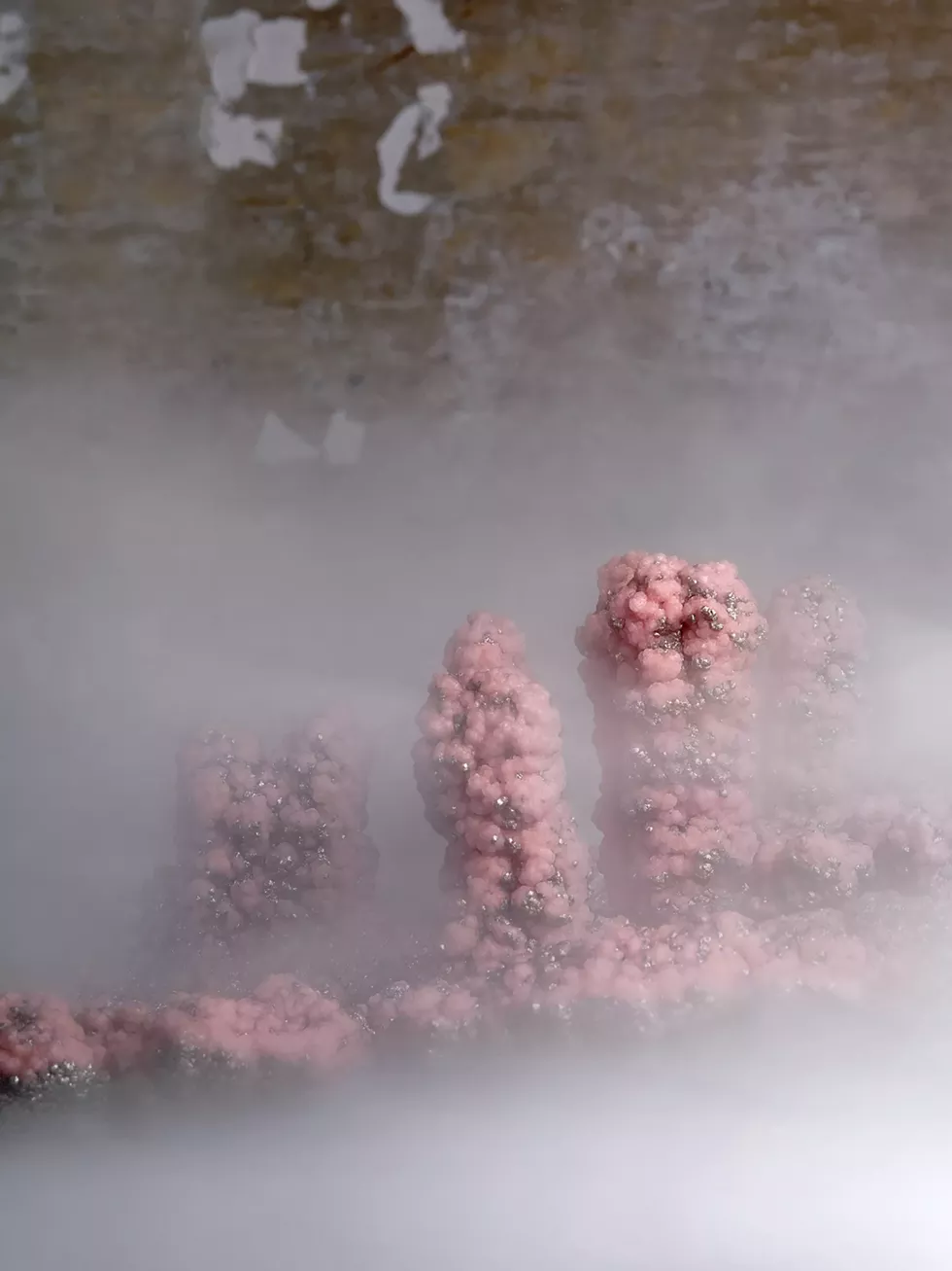 PrPsc from the series Abiogenesis
