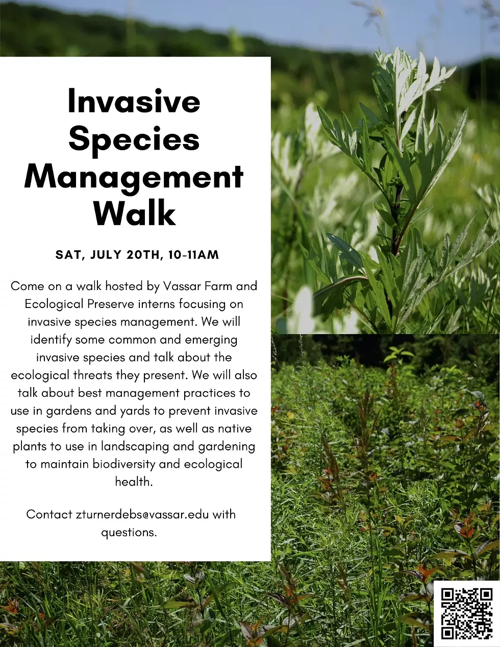 invasives_management_walk_jpeg.webp