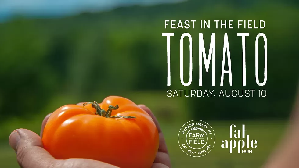 tomato_email_graphic.webp