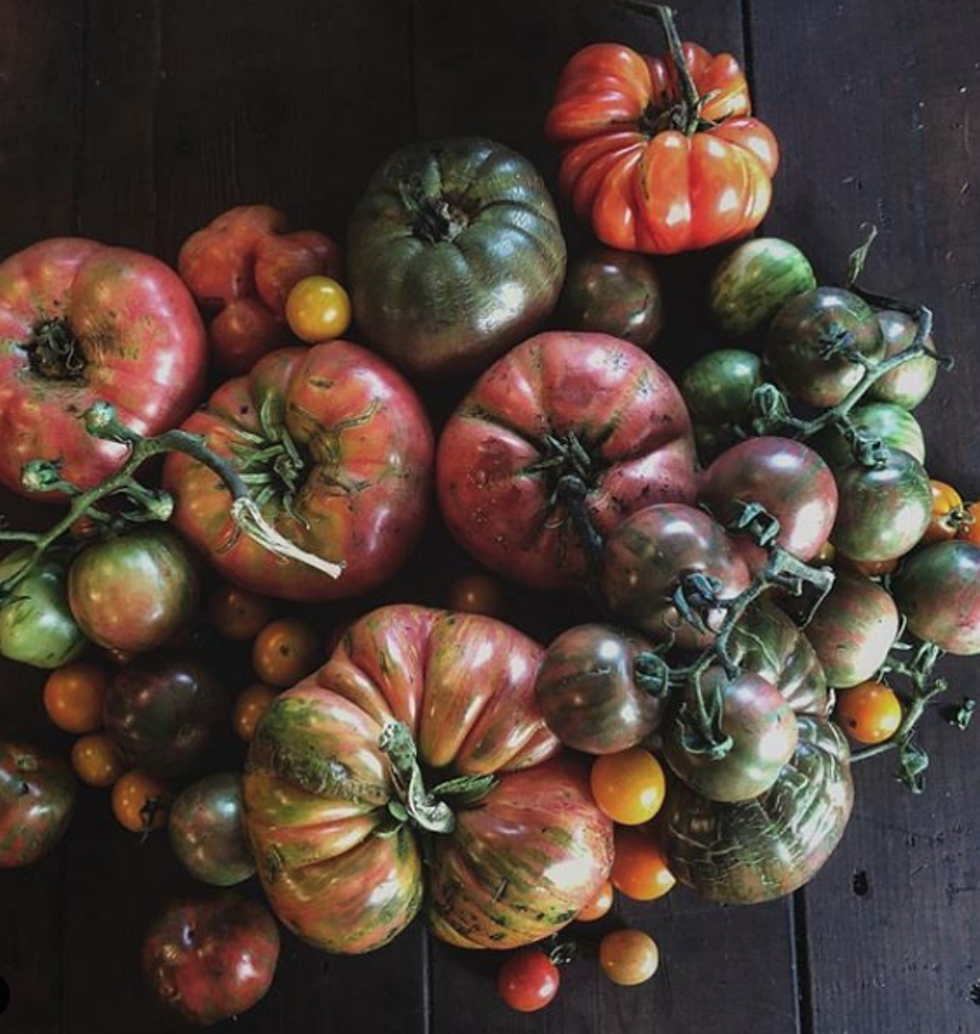 Tomatoes from Blooming Hill Farm