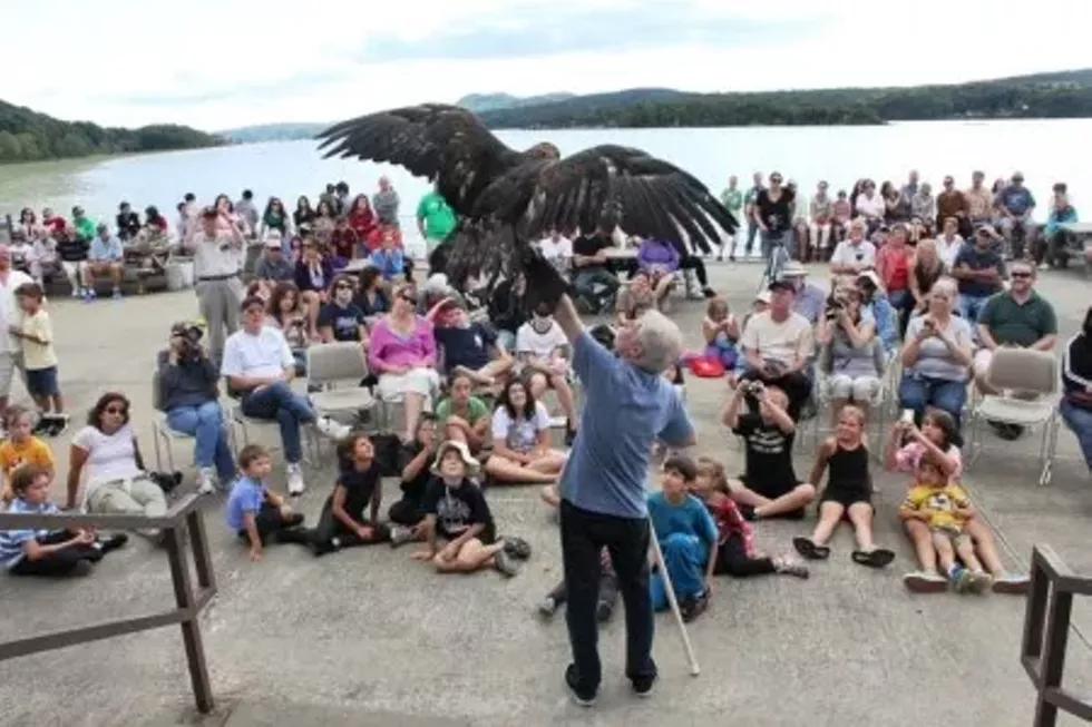Science on the River live birds of prey program