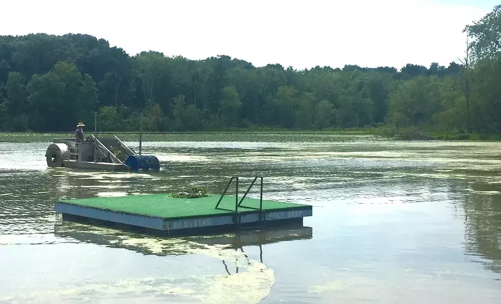 Esopus Creek