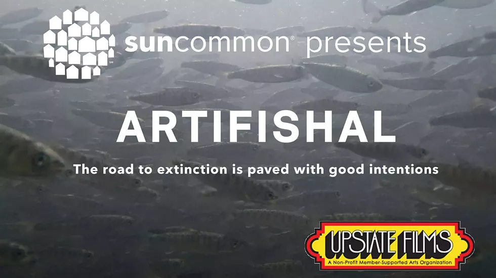 artifishalfacebook.webp
