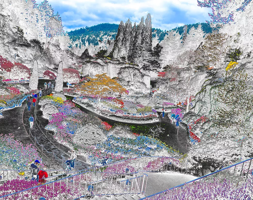 Eden"s Garden II