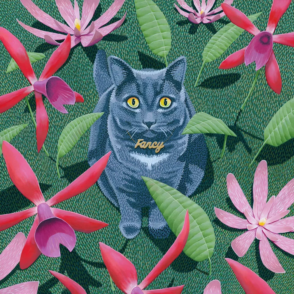 "Fancy" by Ian Wilson Clyde