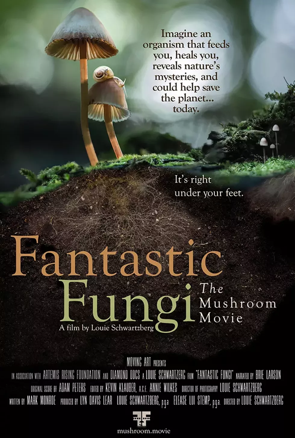 fungi.webp