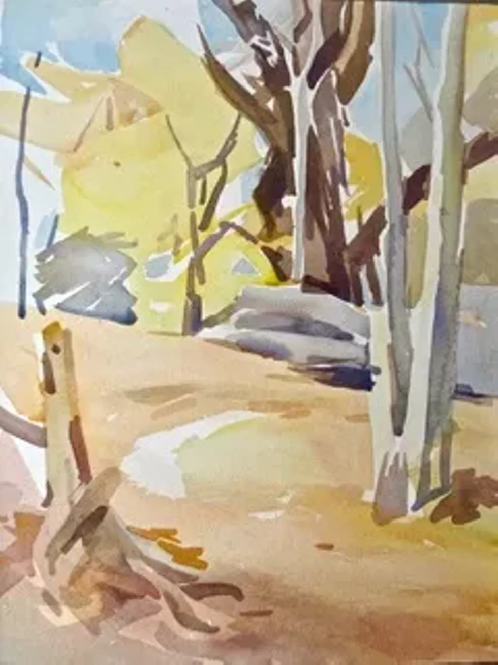 Woods