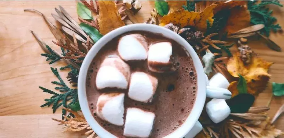 cocoa.webp