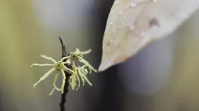 Image: Beginner's Eye: A Photography Retreat with Don Symanski