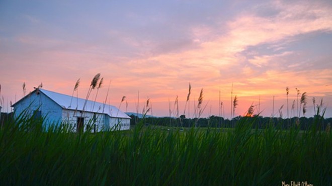 The Southlands Foundation Benefit Gala: Sunset at Southlands