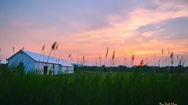 Image: The Southlands Foundation Benefit Gala: Sunset at Southlands