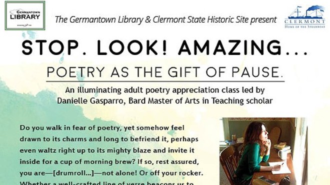 Stop. Look! Amazing... Poetry as the gift of pause.