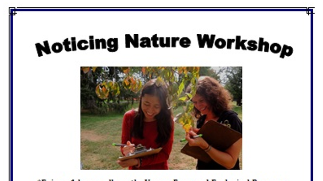 Image: Noticing Nature Workshop