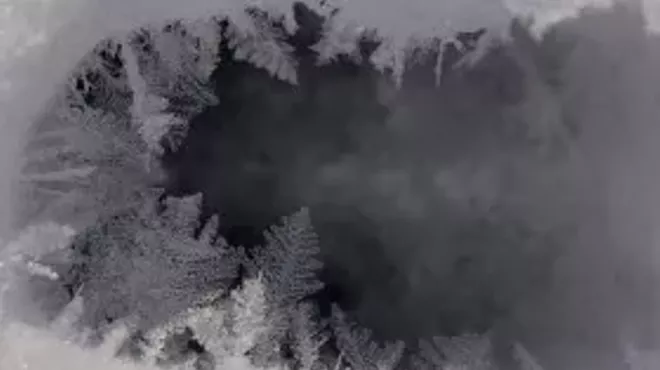Image: Winter Tracking on Tremper Mountain with Jim Bruchac
