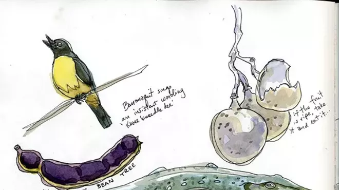 Image: Illustration Workshop