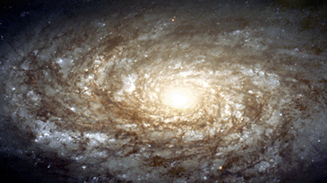 Image: Screening: A Sidewalk Astronomer