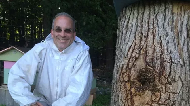 Image: Feral Honeybees in the Catskill Mountains and the Hudson Valley