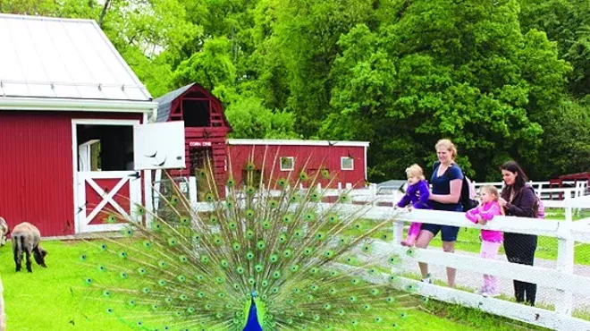 Image: Little Folk Farm Day