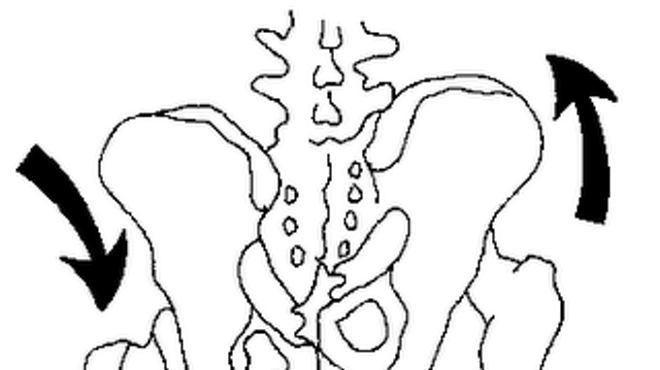 Image: Realigning the Pelvis Workshop with Jory Serota