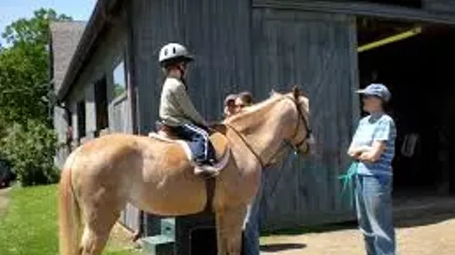 Image: Horses For A Change