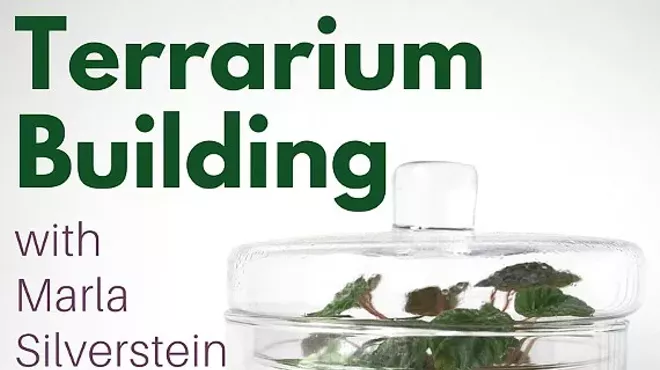 Image: Terrarium Building with Marla Silverstein