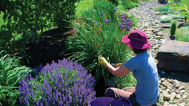 A Water-Wise Teaching Garden for the Hudson Valley