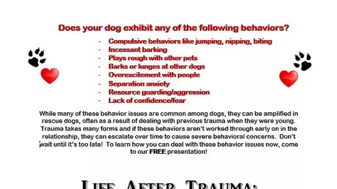 Image: Life After Trauma: Helping Your Rescue Dog Bring Out Her Best Self