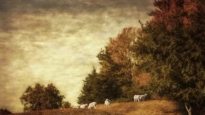 Image: The Farmer&rsquo;s Art